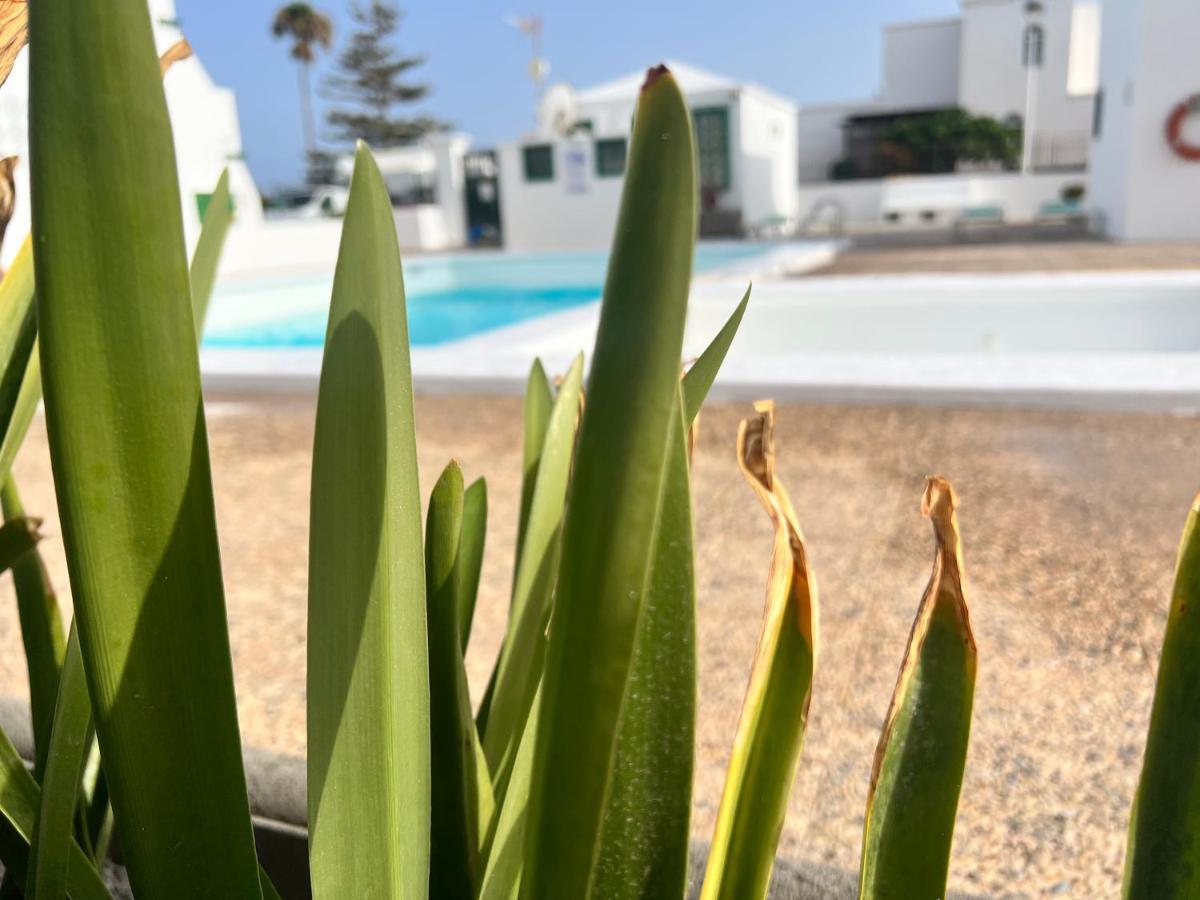 Las Mimosas Beach Sol Puerto del Carmen  Zewnętrze zdjęcie