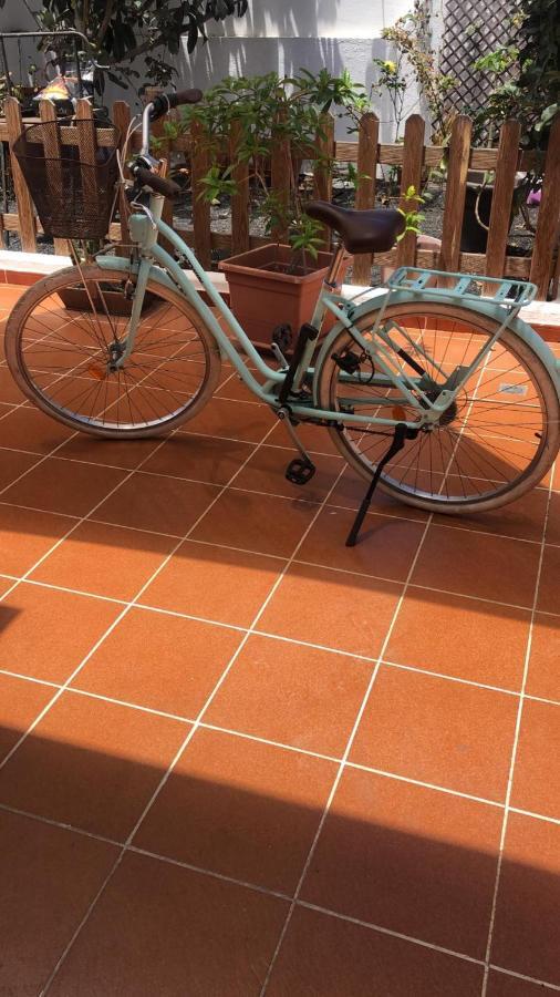 Las Mimosas Beach Sol Puerto del Carmen  Zewnętrze zdjęcie